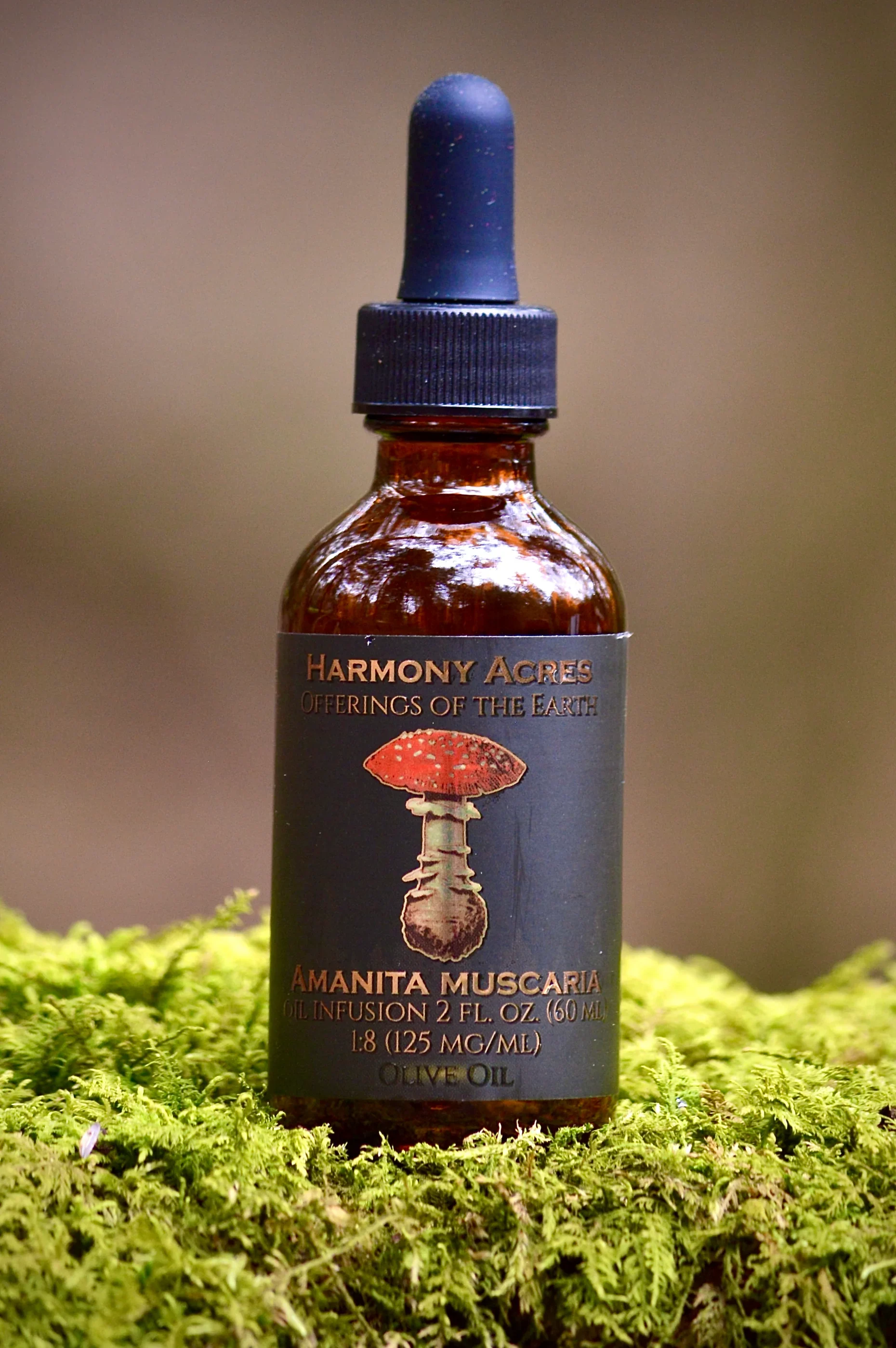 Amanita muscaria olive oil tincture bottle on moss