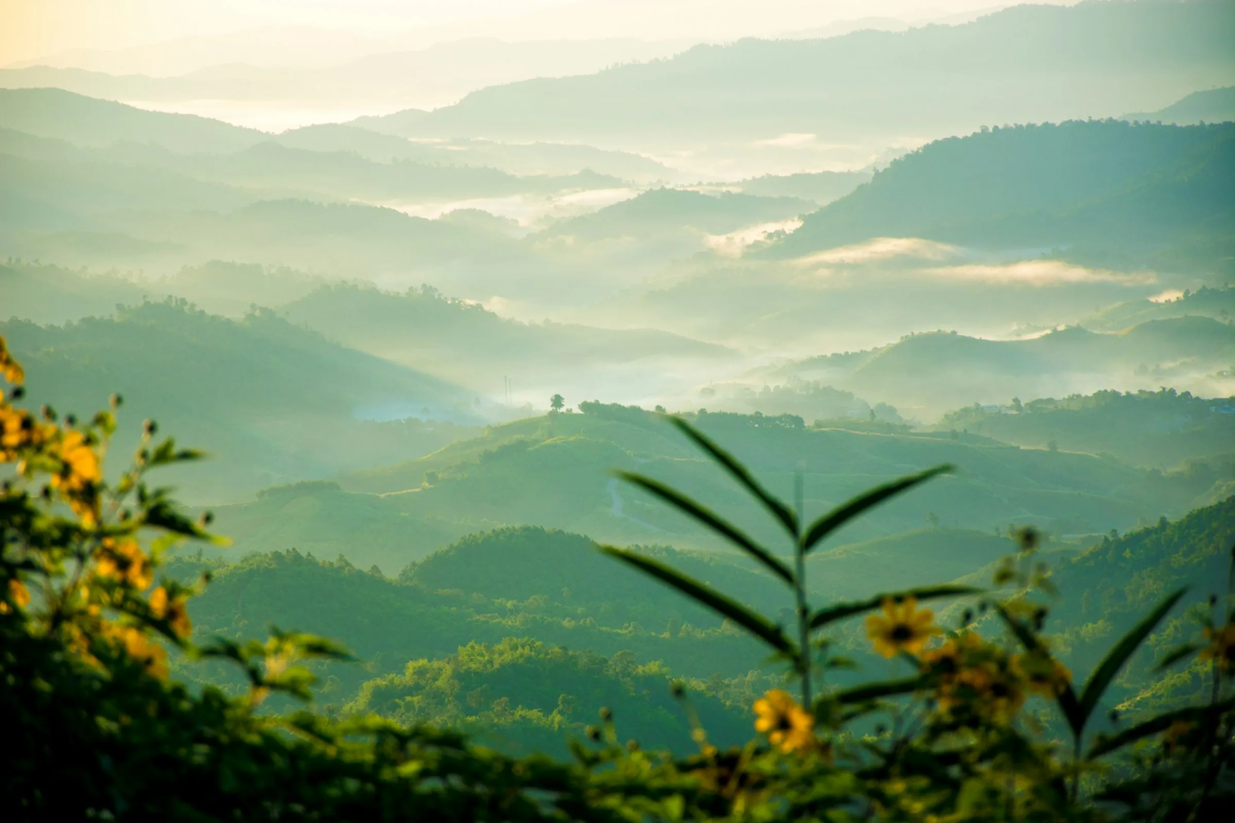 Misty mountain valley at dawn in northern Thailand.