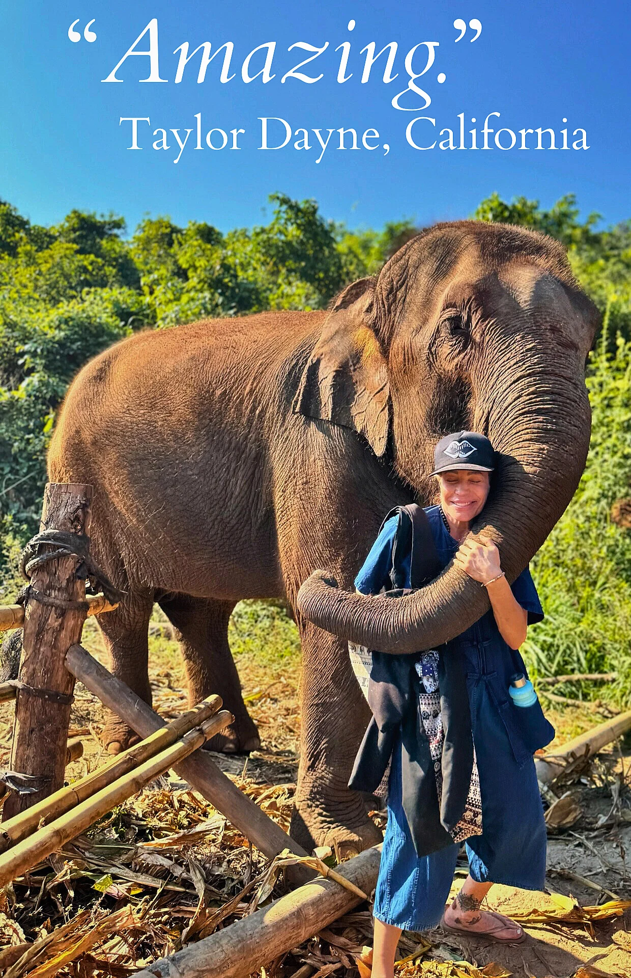 Taylor Dayne with an elephant during LaurZen's Journey to Freedom women's retreat in Chiang Mai, Thailand, with Lauren Boiros.